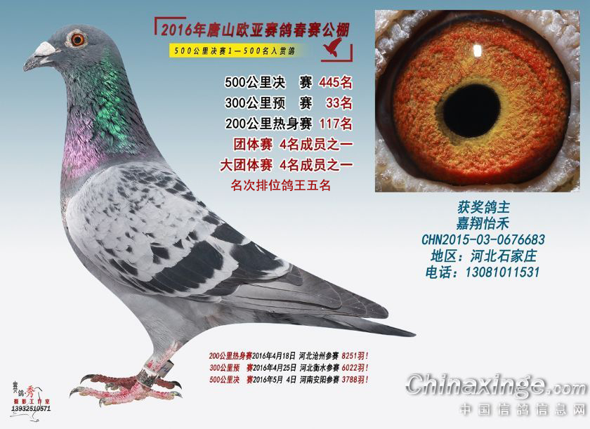 ŷǹԱ
