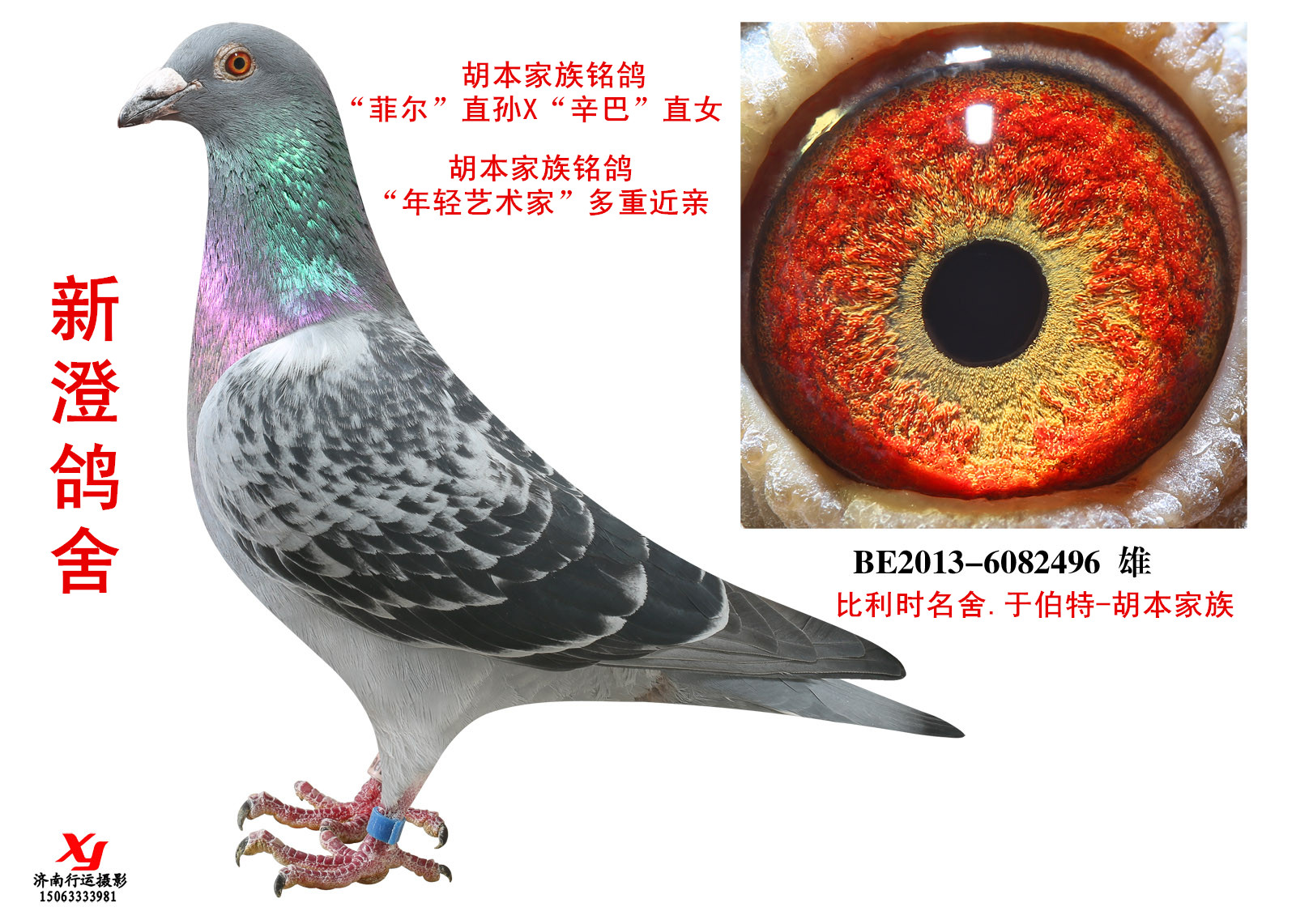 胡本家族