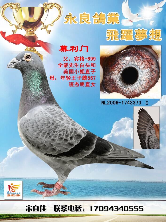慕利门_长春永良鸽业_ ag188.com爱鸽商城_中国信鸽
