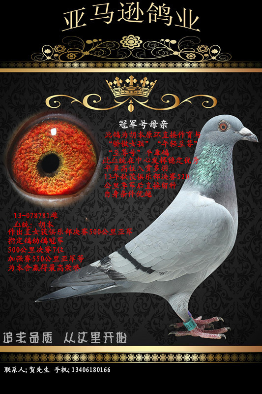 胡本