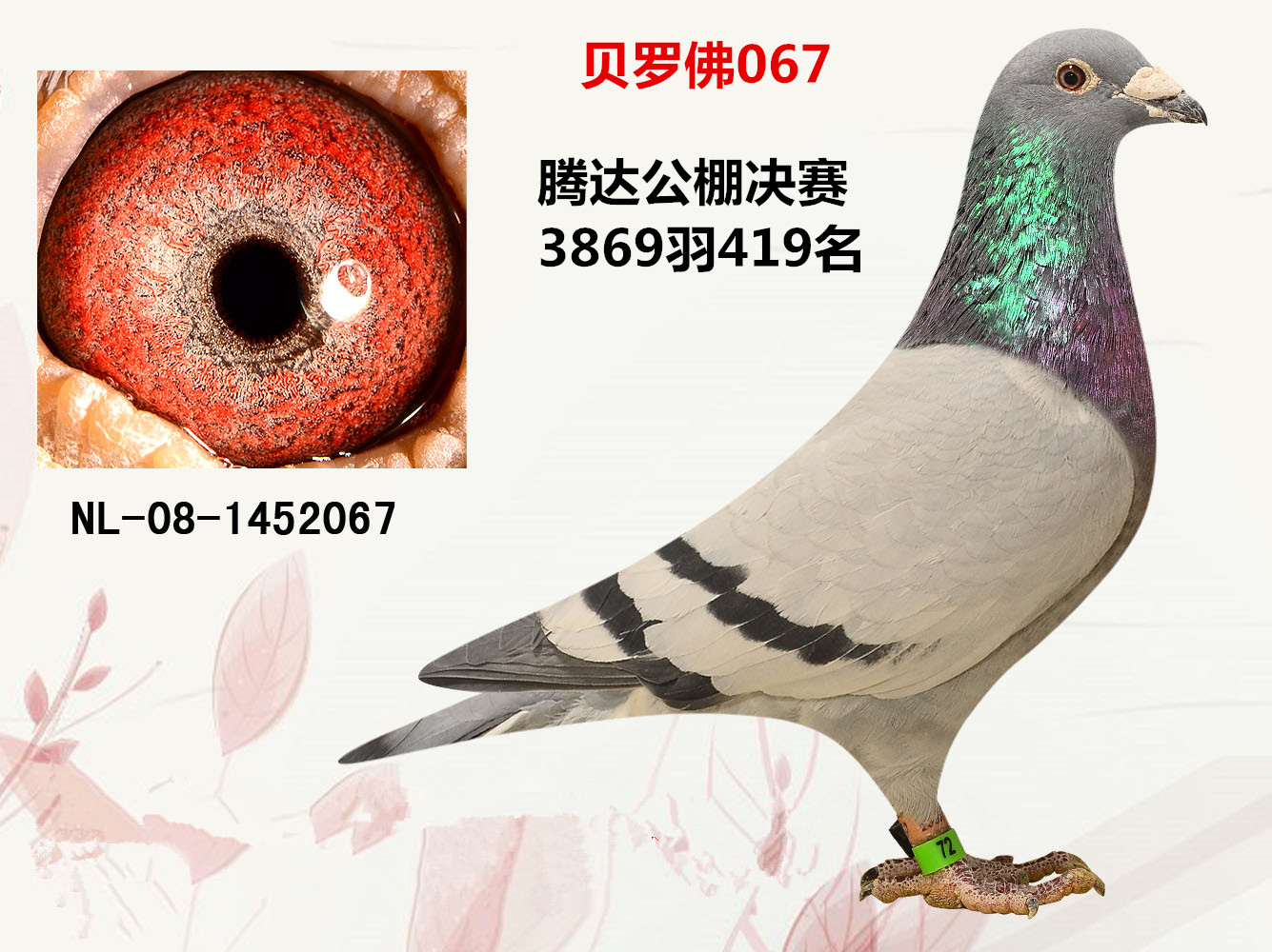 卡伦杨迪汉