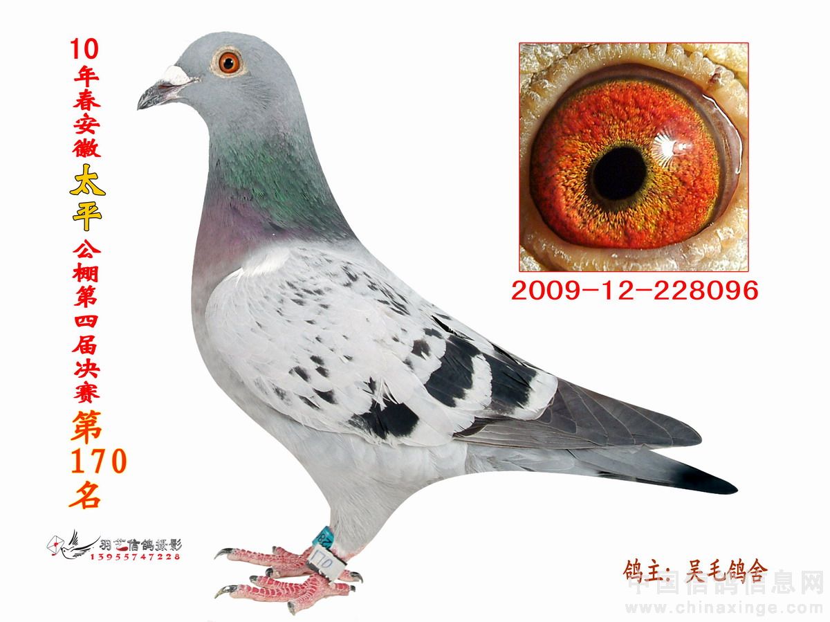 10갲̫ƽ170