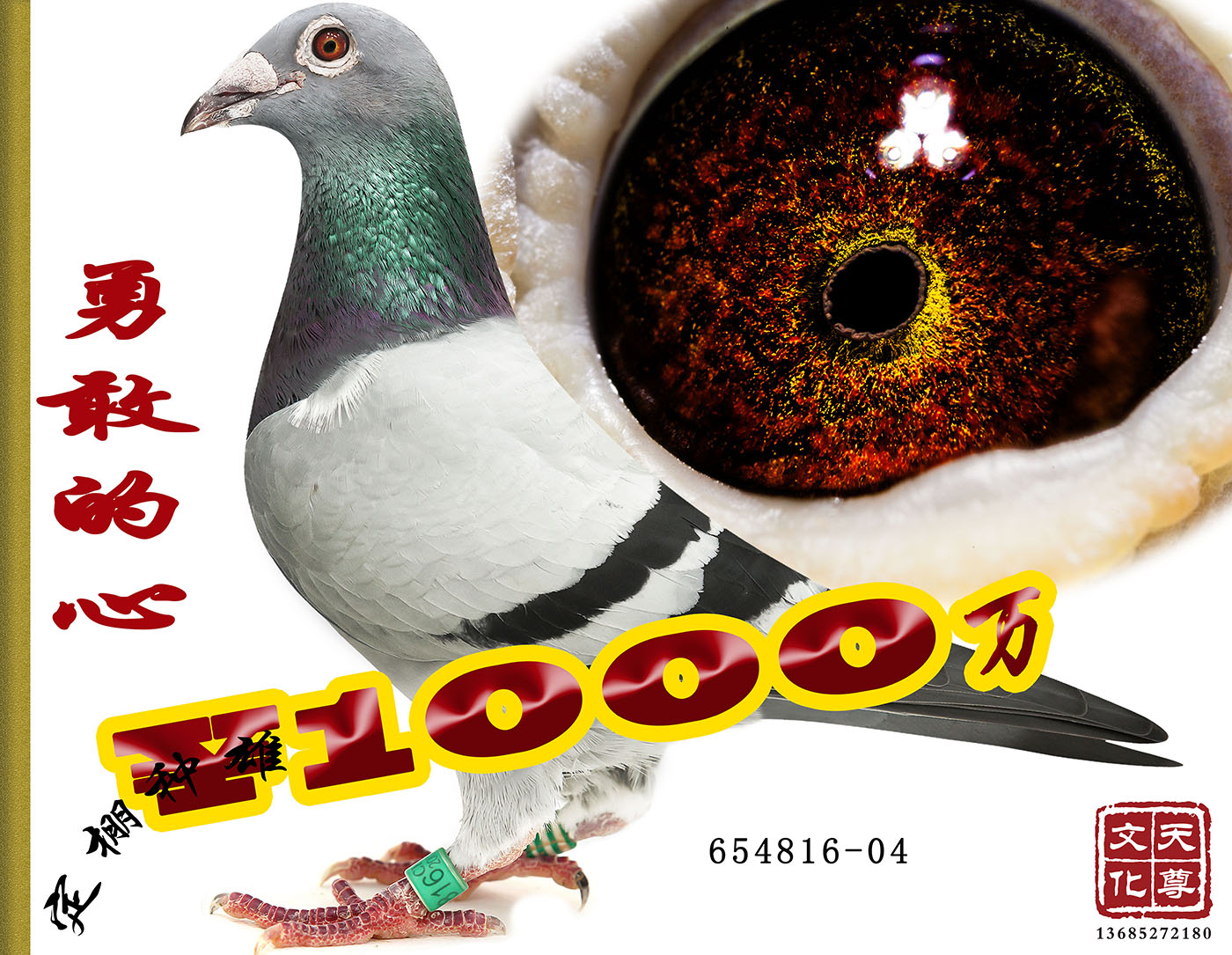 ¸ҵ