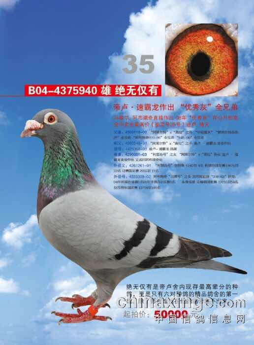 速霸龙1号种公直子威力公棚决赛70名