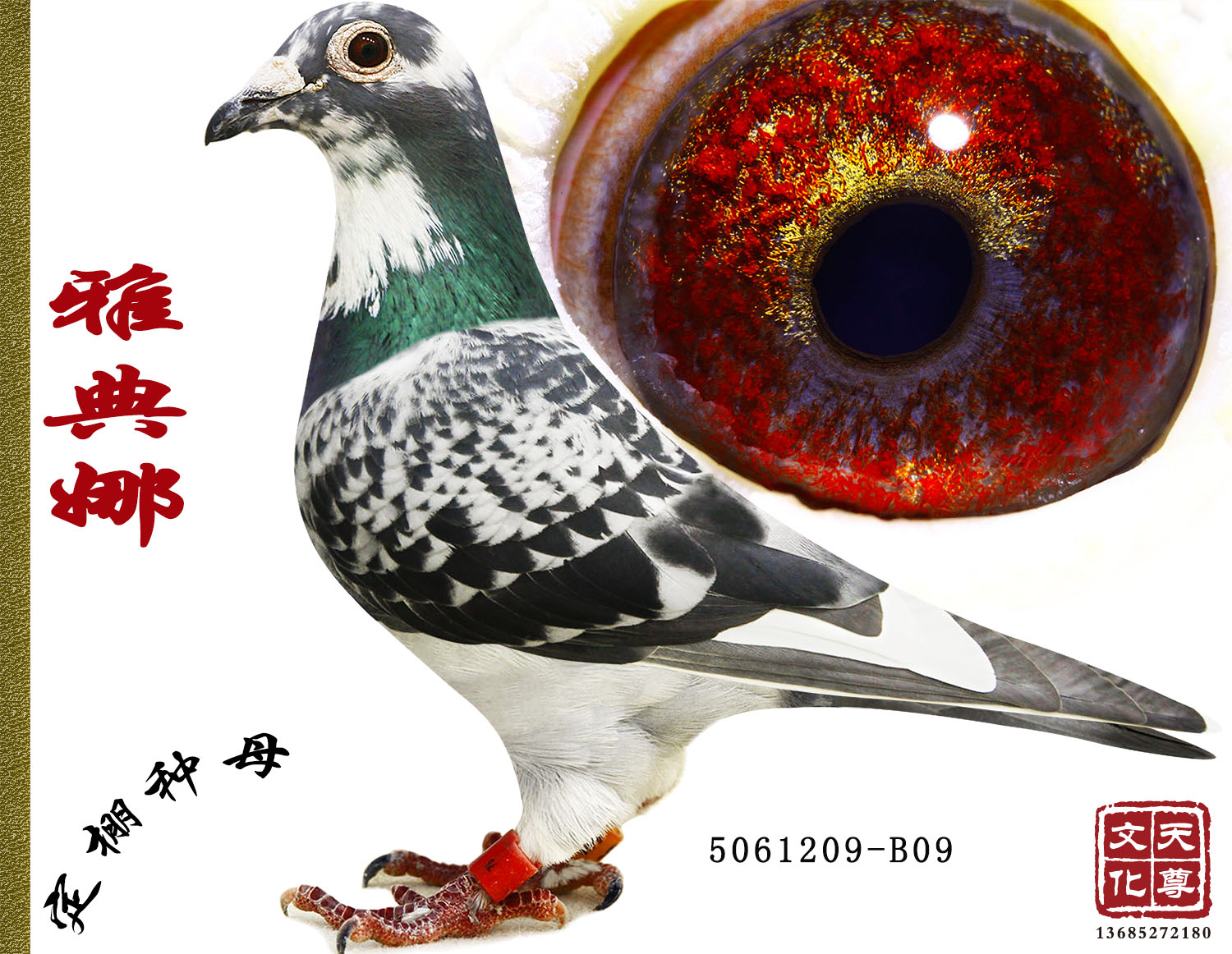 ŵ     D(zhun)׌?zhun)? ></a>
        
      
      </div>
   
       <br>
    </td>
  </tr>
</table>
   
<table width=