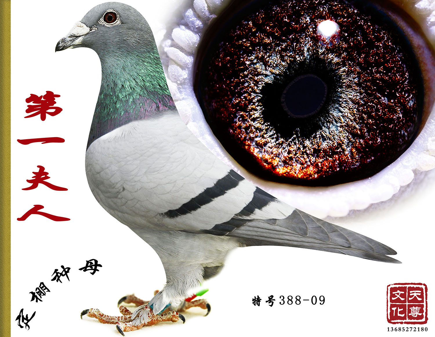 һ      ̖388-09
