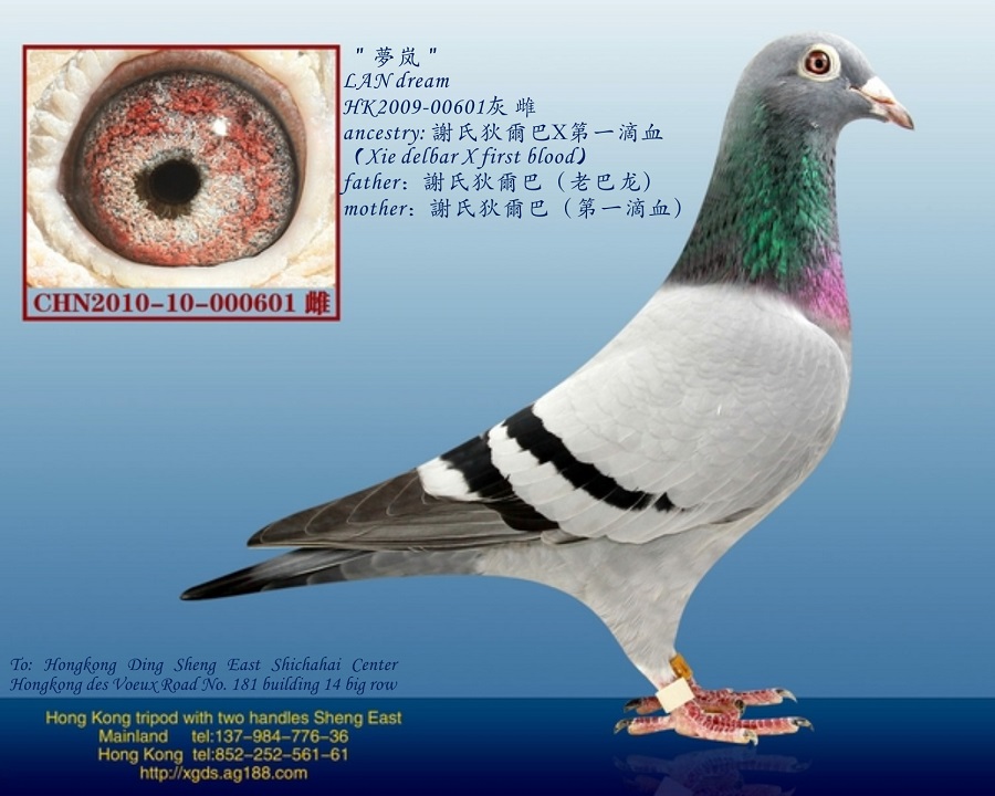 ڡѪx/Ҡ͸֮݅(mng)