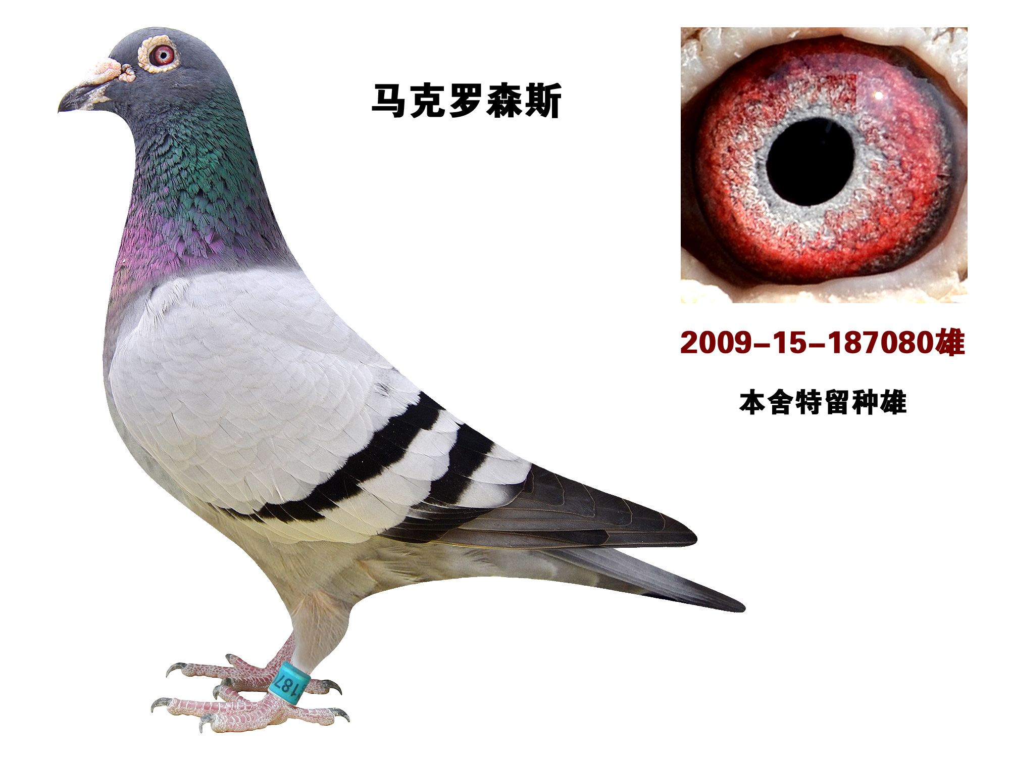 马克080