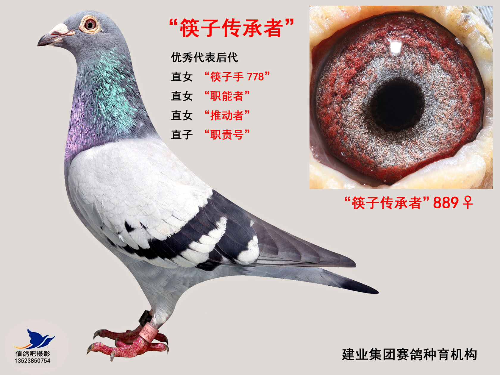 ӂ