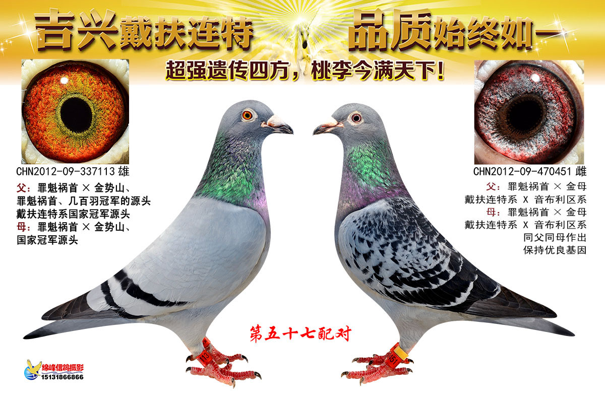 第57配对