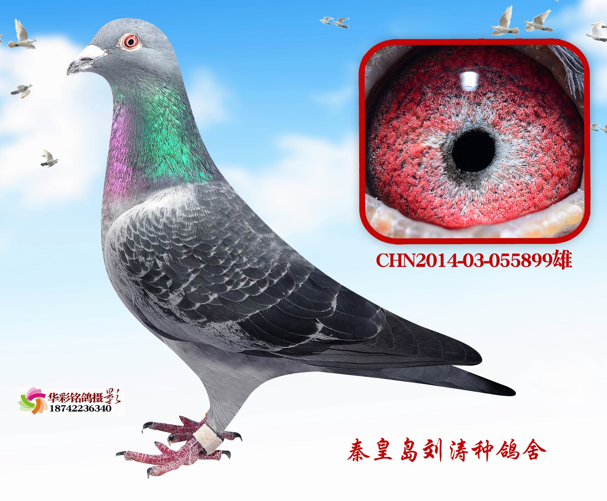 14ػʍu蹫Qِ154