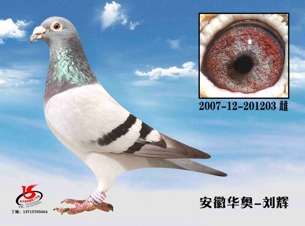 2007-12-201203