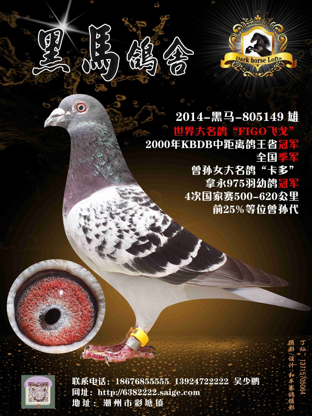 2014-黑马-805149_黑马鸽舍-中信网爱鸽商城