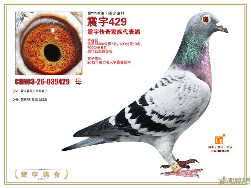 03걱Ǿ㘷7005