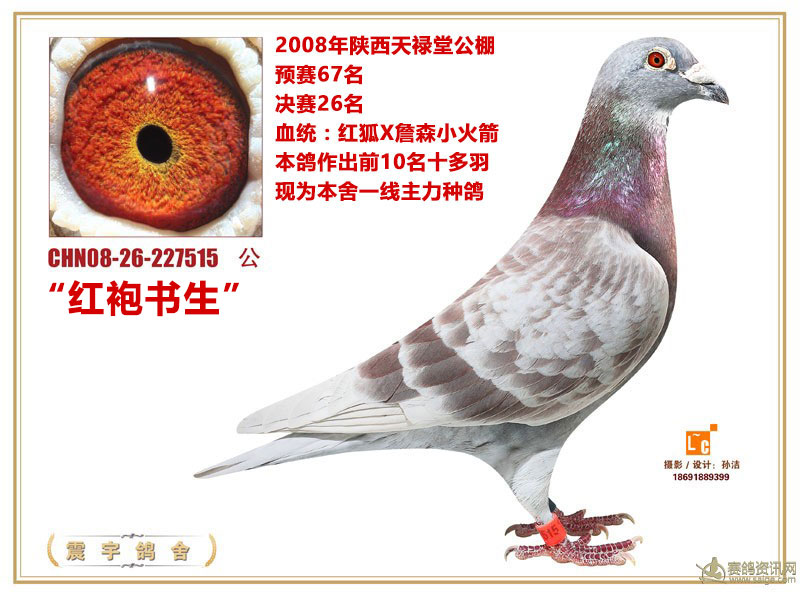 08쵓ÛQِ26