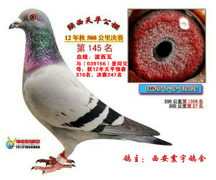 12ƽ?jng)Qِ145