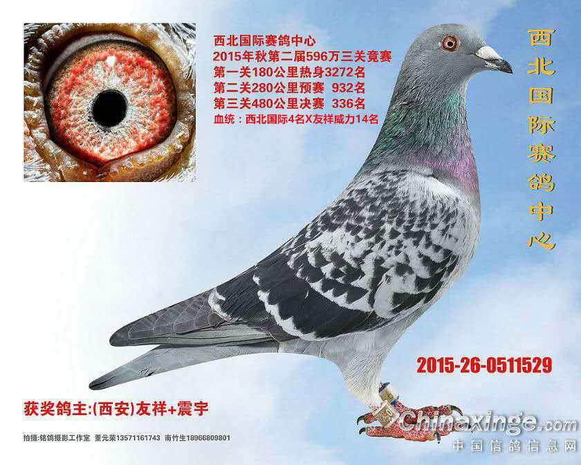 15(gu)HQِ336