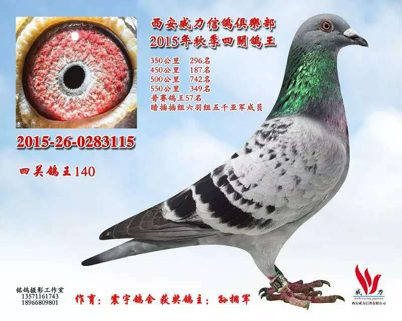 P(gun)140