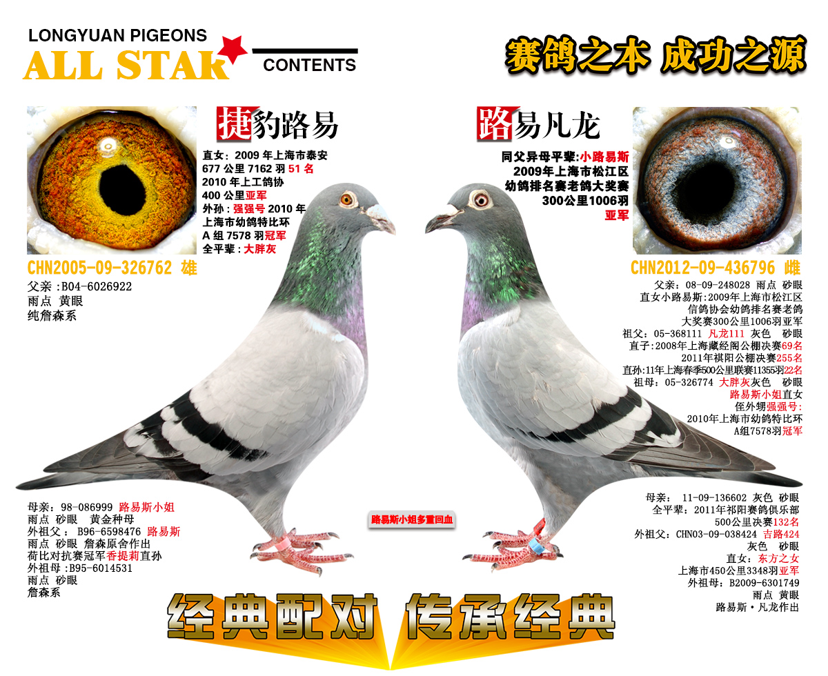 (jng)䌦 н(jng)