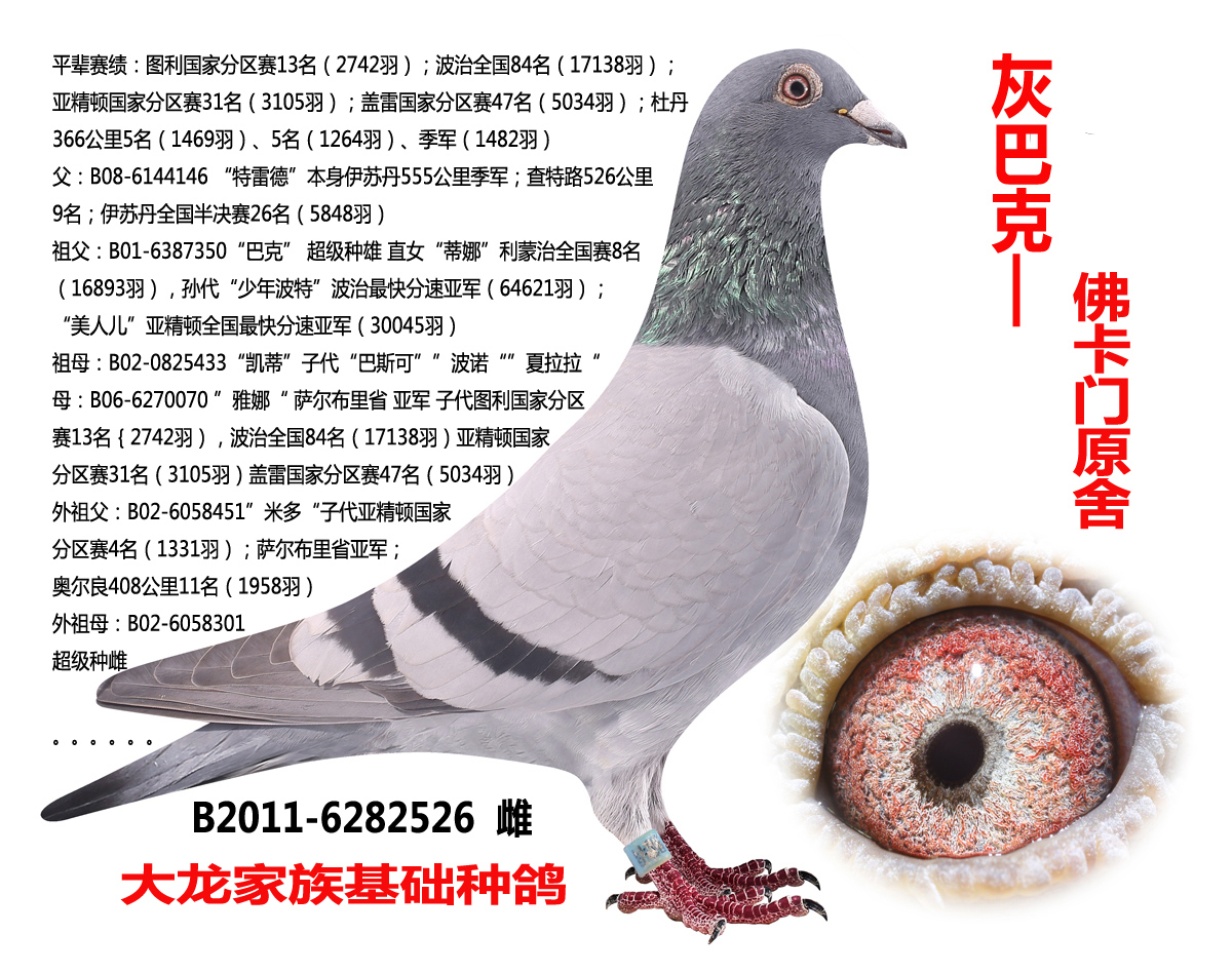 灰巴克