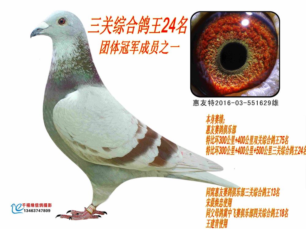 P(gun)C24