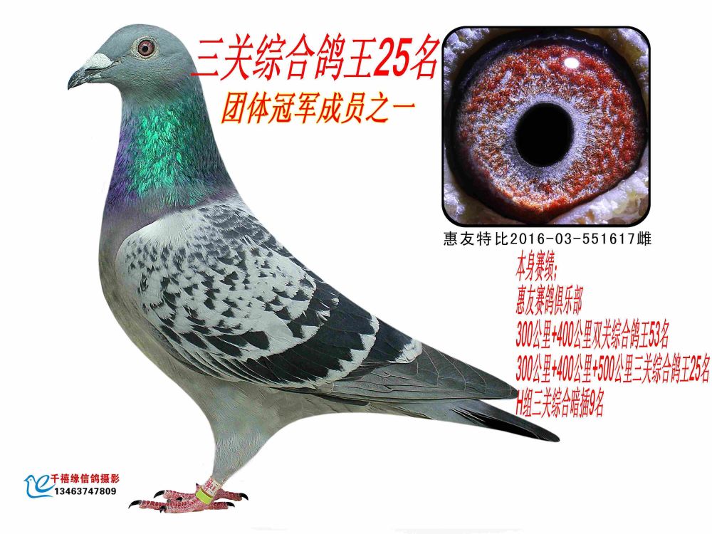 P(gun)C25