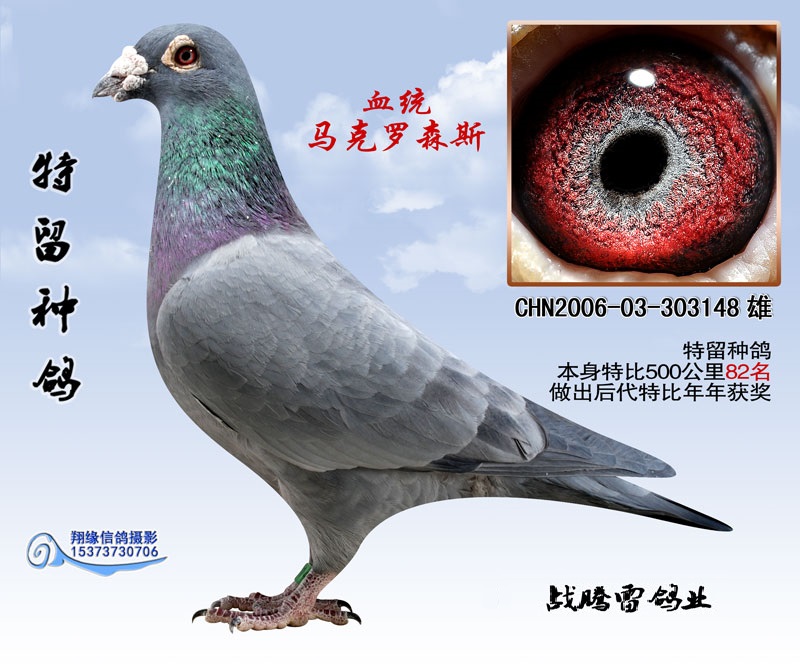 马克罗森斯