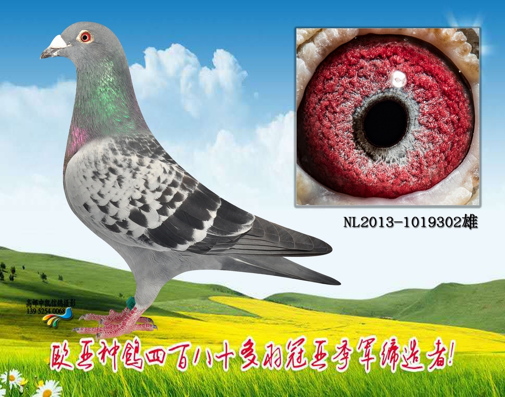 pδ̖