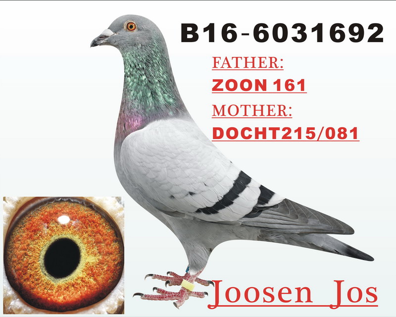 R575ȫ܊ֶŮ