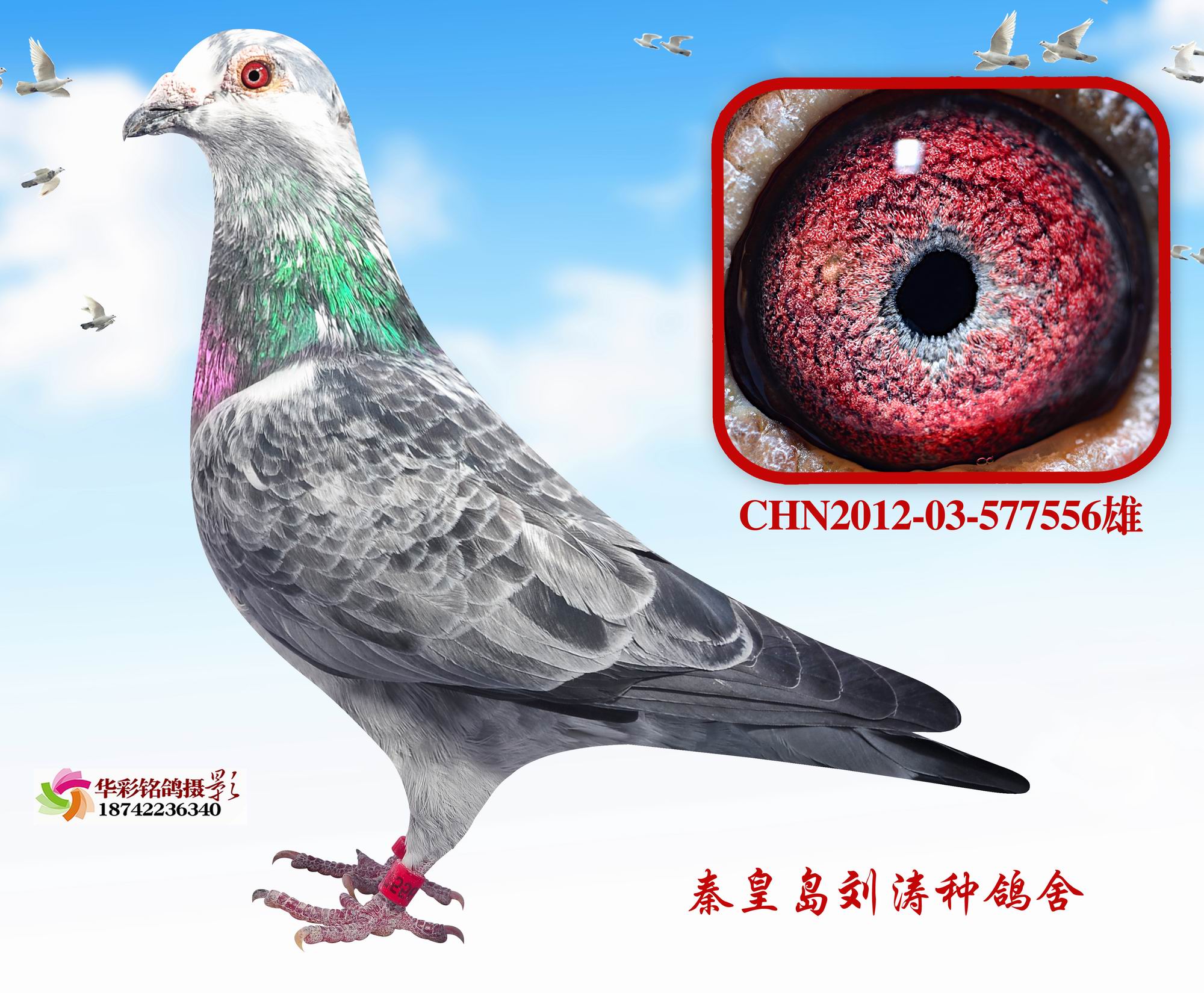 16B52041H