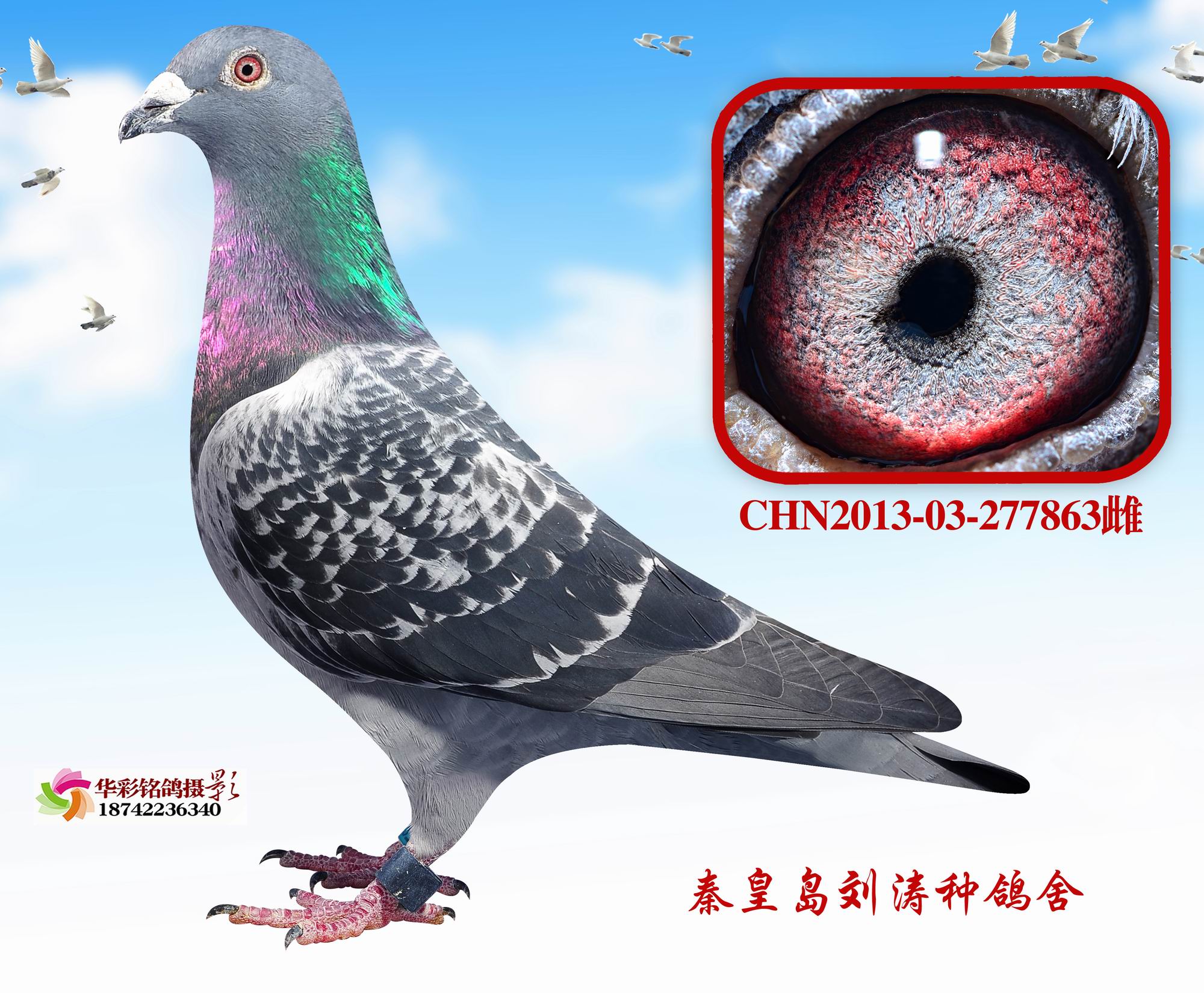 16B52041ĸH