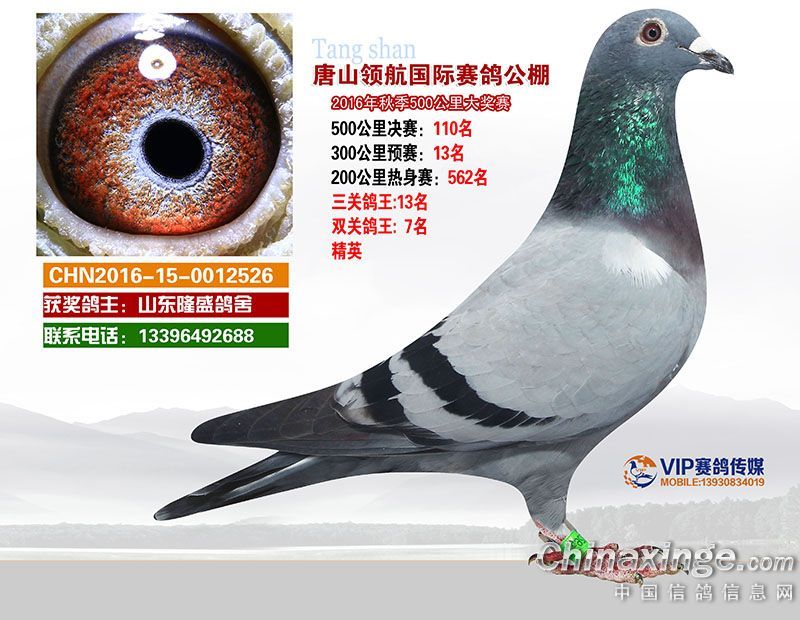 �캽˫�ظ���7λ����