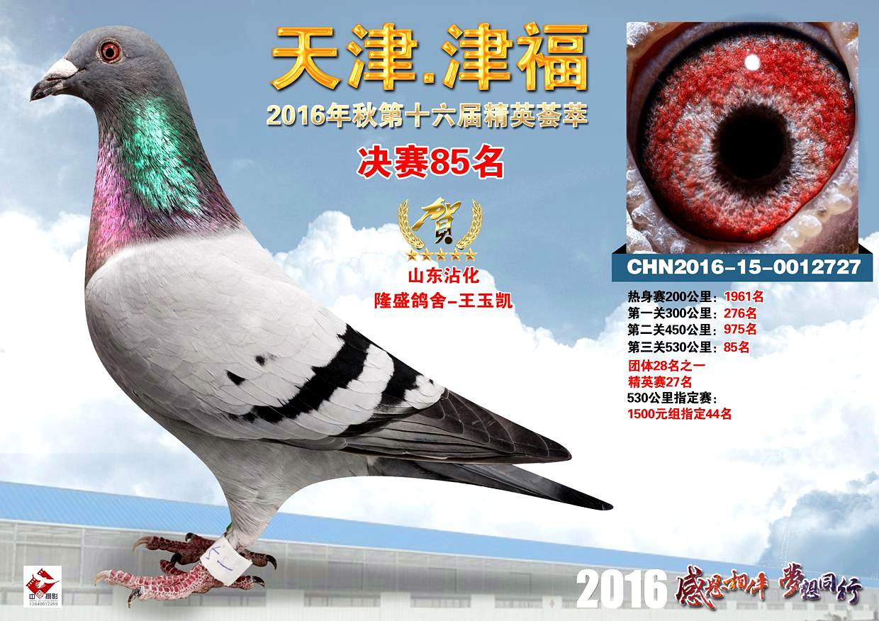 �򸣾���85��