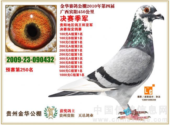金华公棚3名_贵州姜荣鸽苑-中信网爱鸽商城