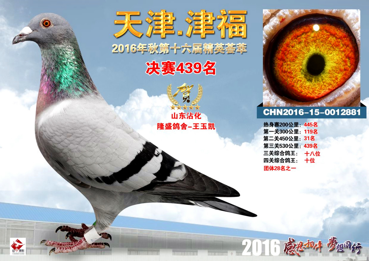 ���Ĺظ���10λ