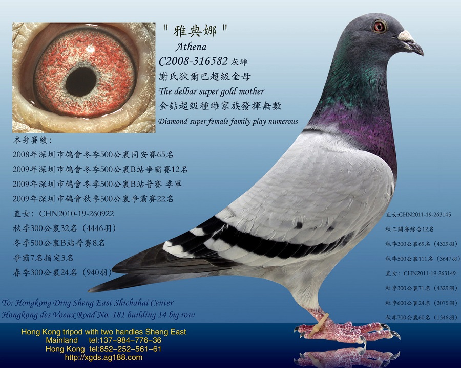 ڡѪx/Ҡͽƣŵȣ