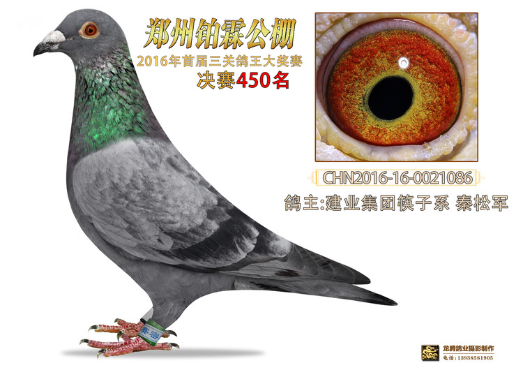 ݰعQِ450