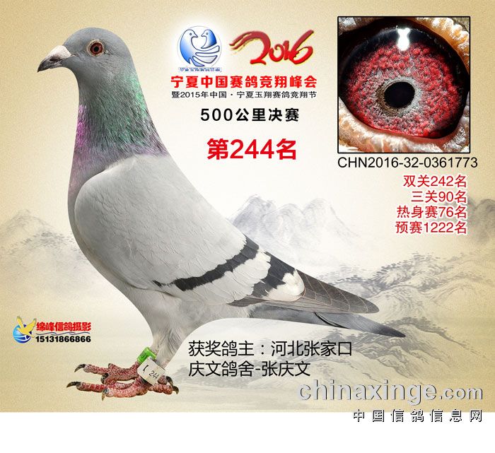 244