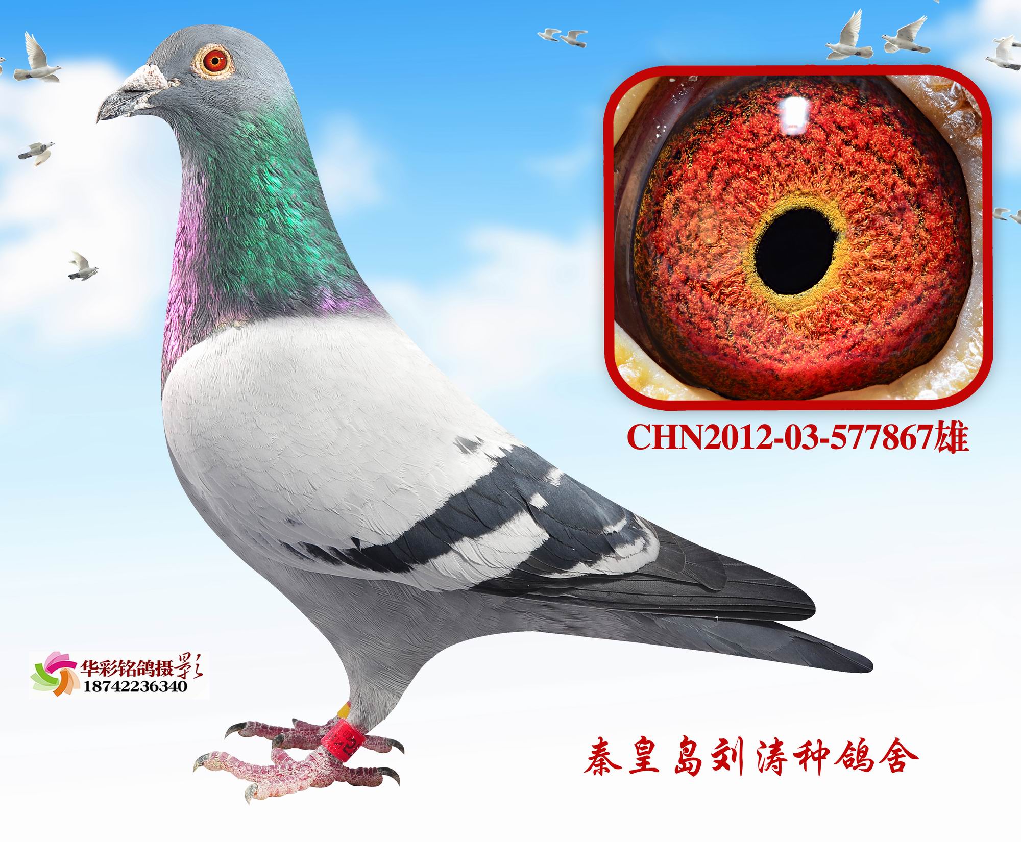 16B꠵P(gun)283