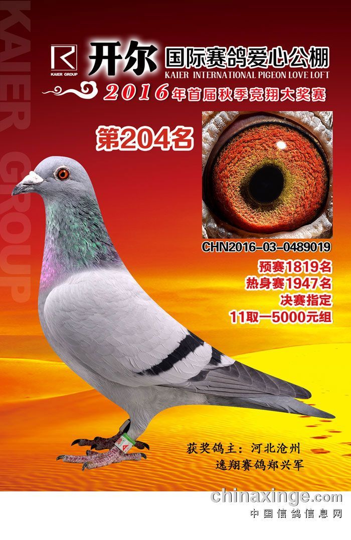 开尔204名