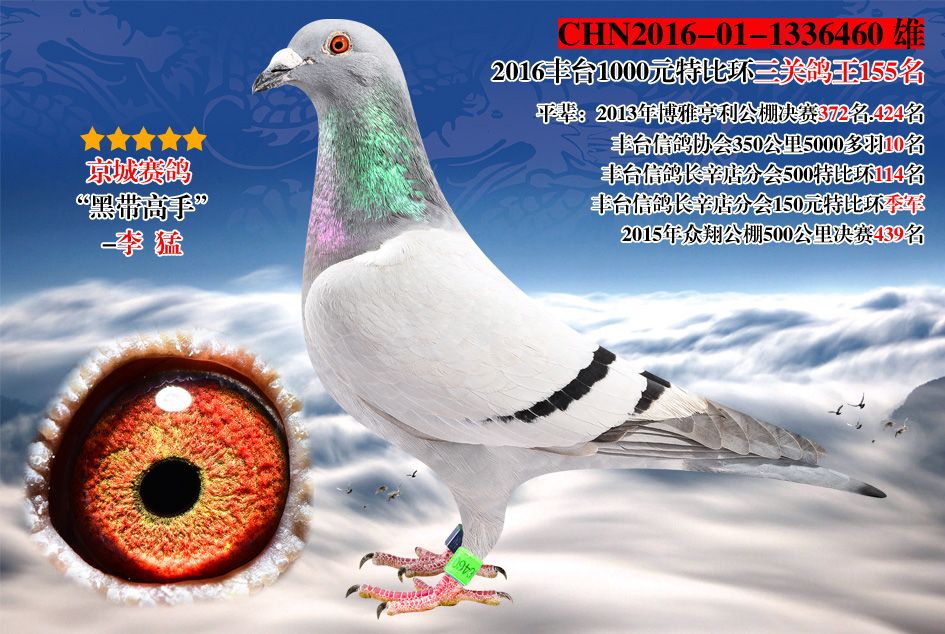 悍将460