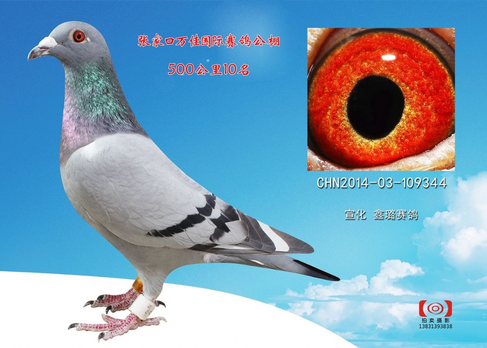 ӱfѹ10