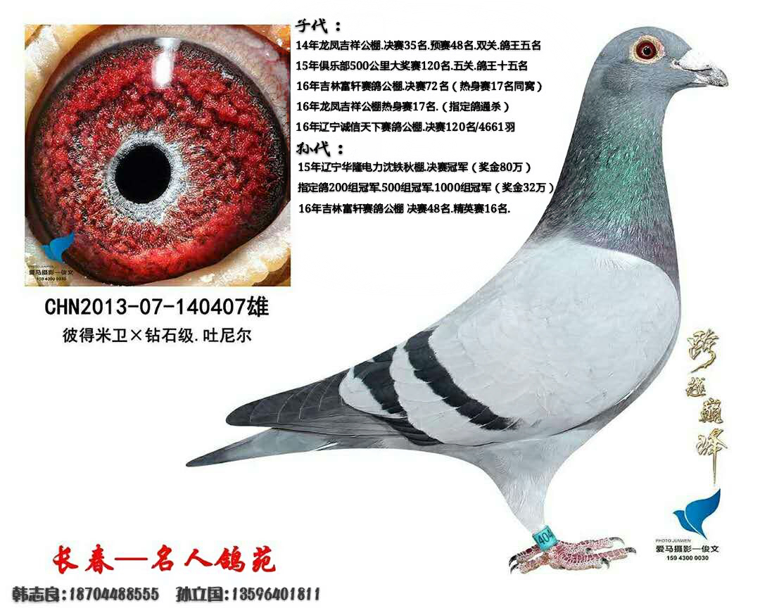 彼得米卫