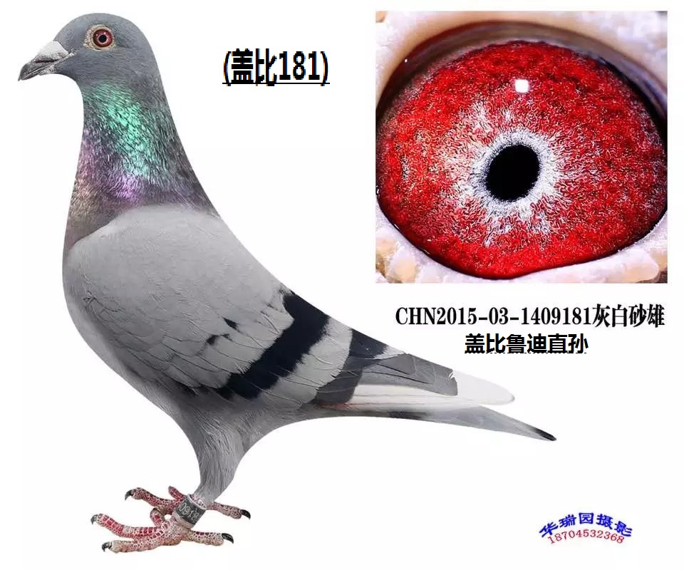 ³ֱ20Ͳ