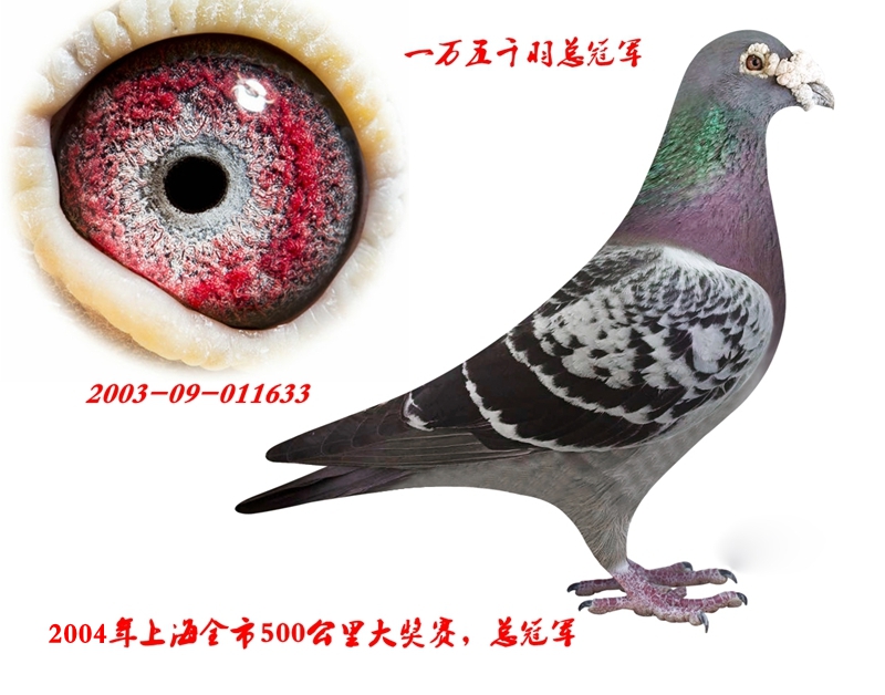܊