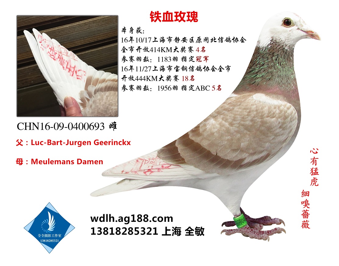 FѪõ   D(zhun)ղ