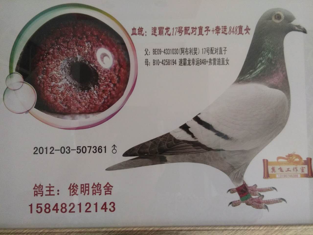 速霸龙17号配对直子x幸运848直女