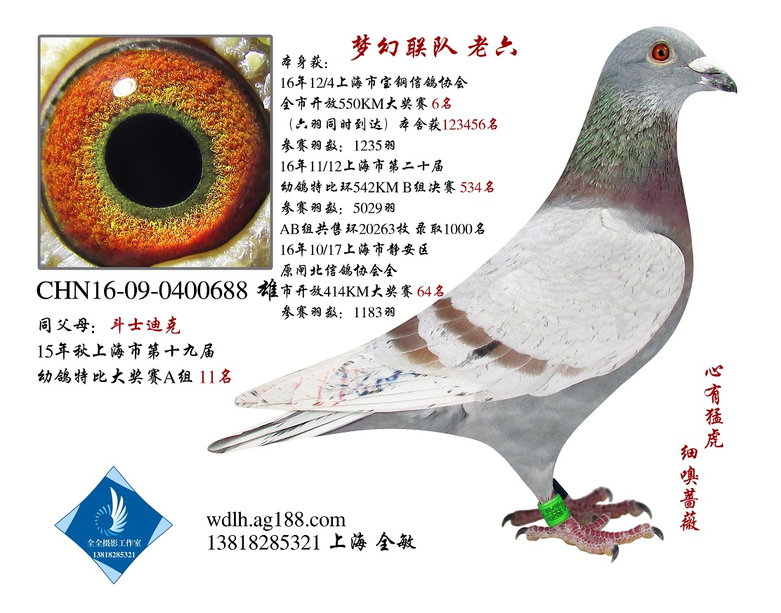 Ϻ(mng)(lin)(du)   D(zhun)ղ