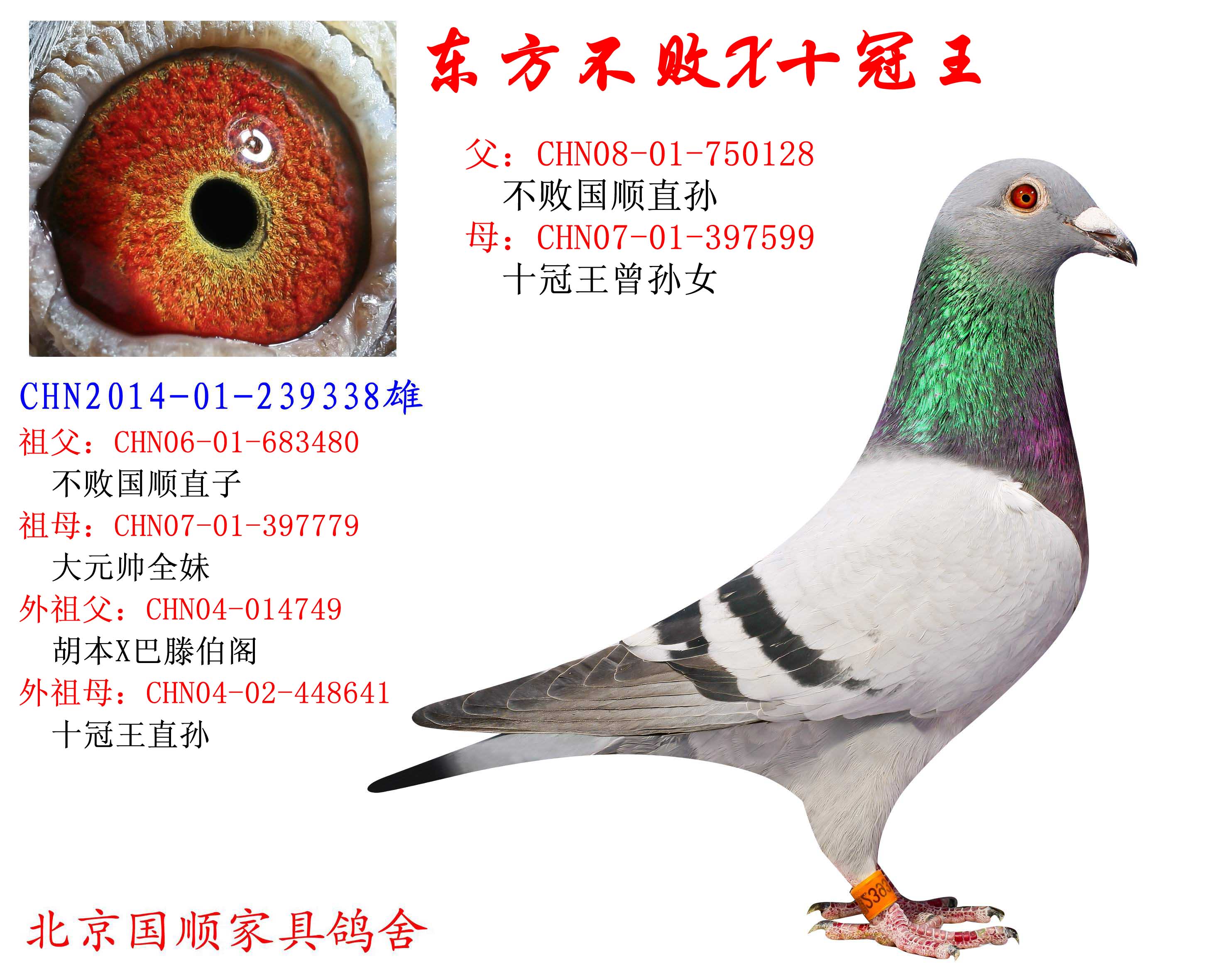 海淀特比三关特比189名