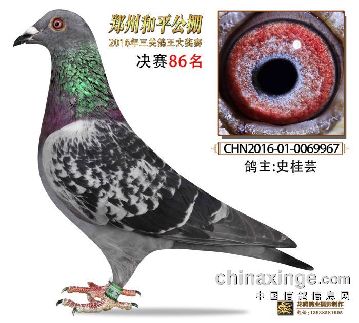 ����ʡ�����к�ƽ����Qِ86��